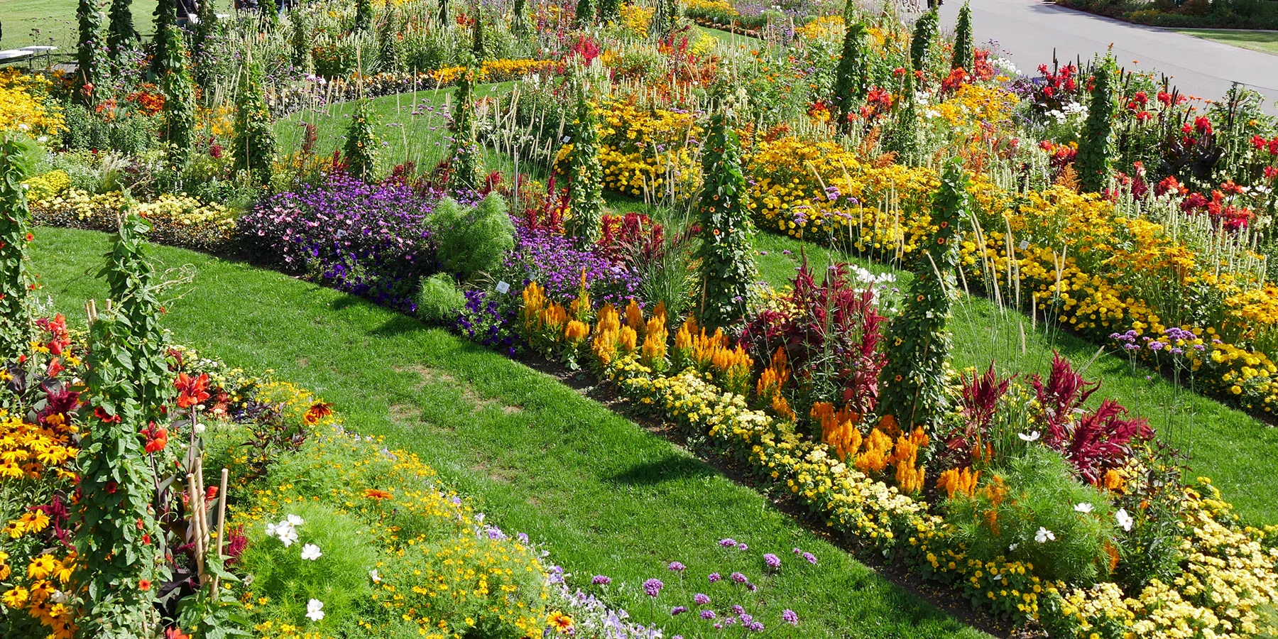 Frische Gartenpracht direkt vom Züchter