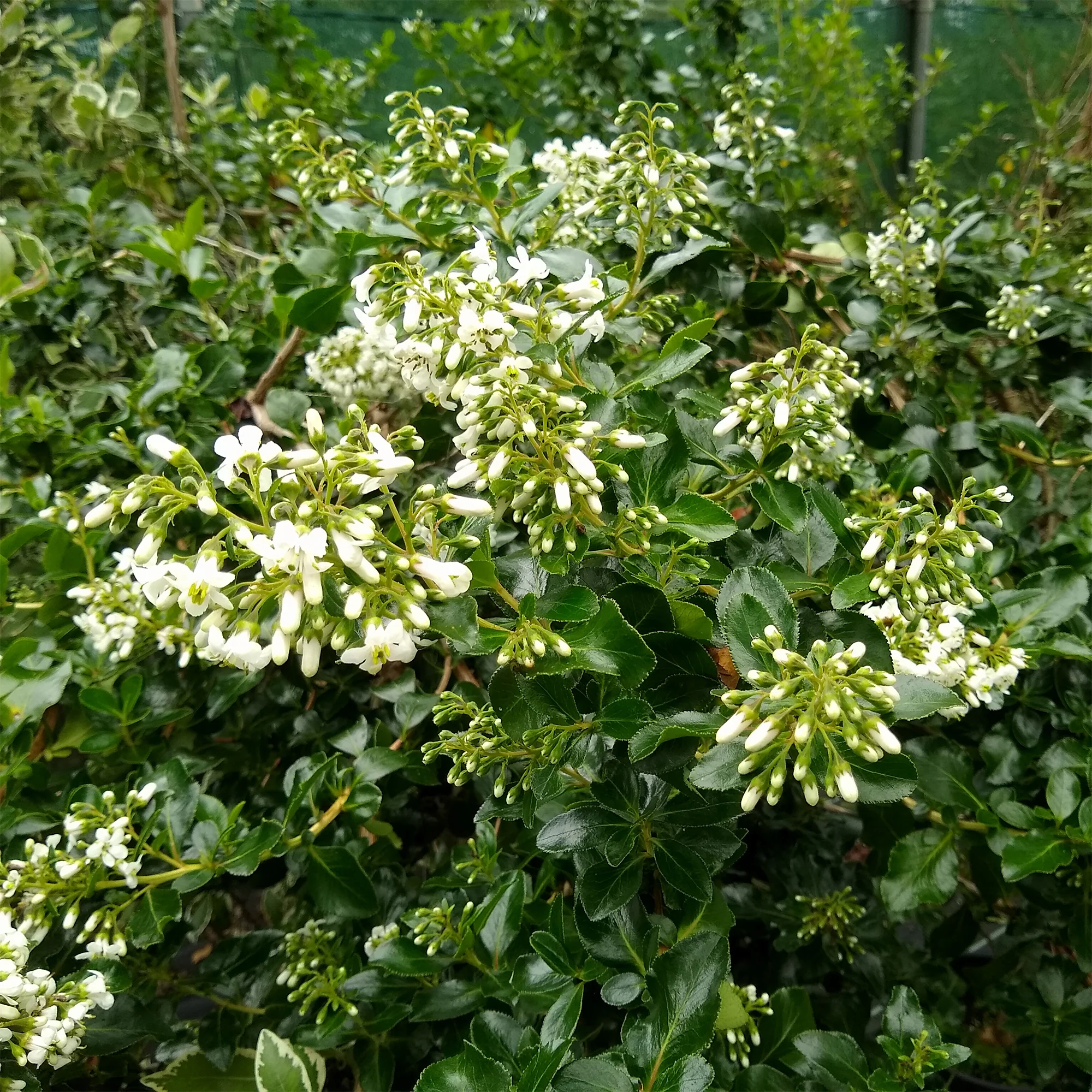 Vorschaubild 3