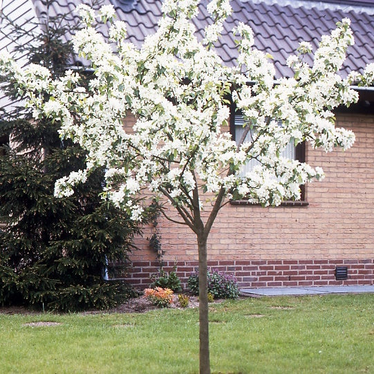 Vorschaubild 4