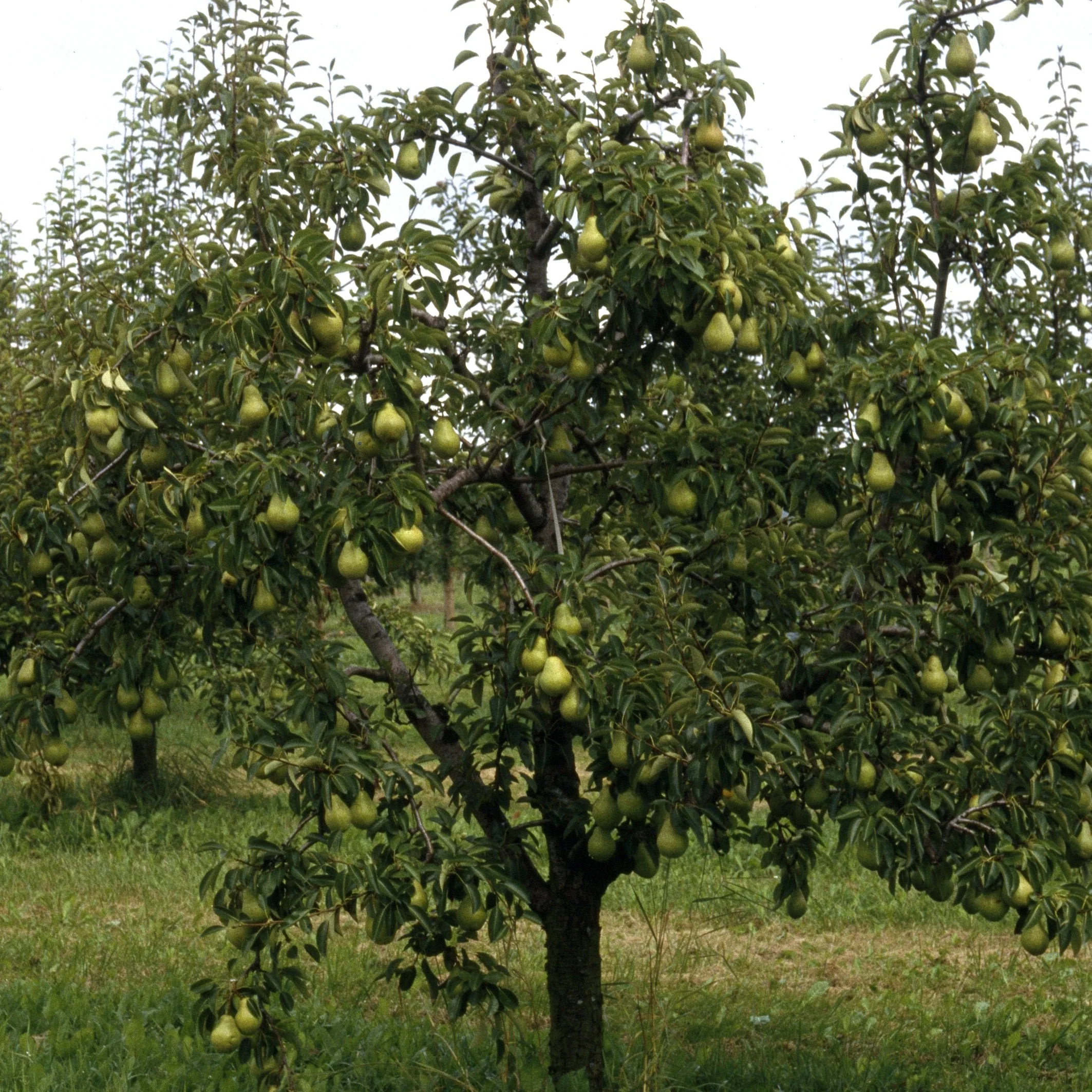 Vorschaubild 5