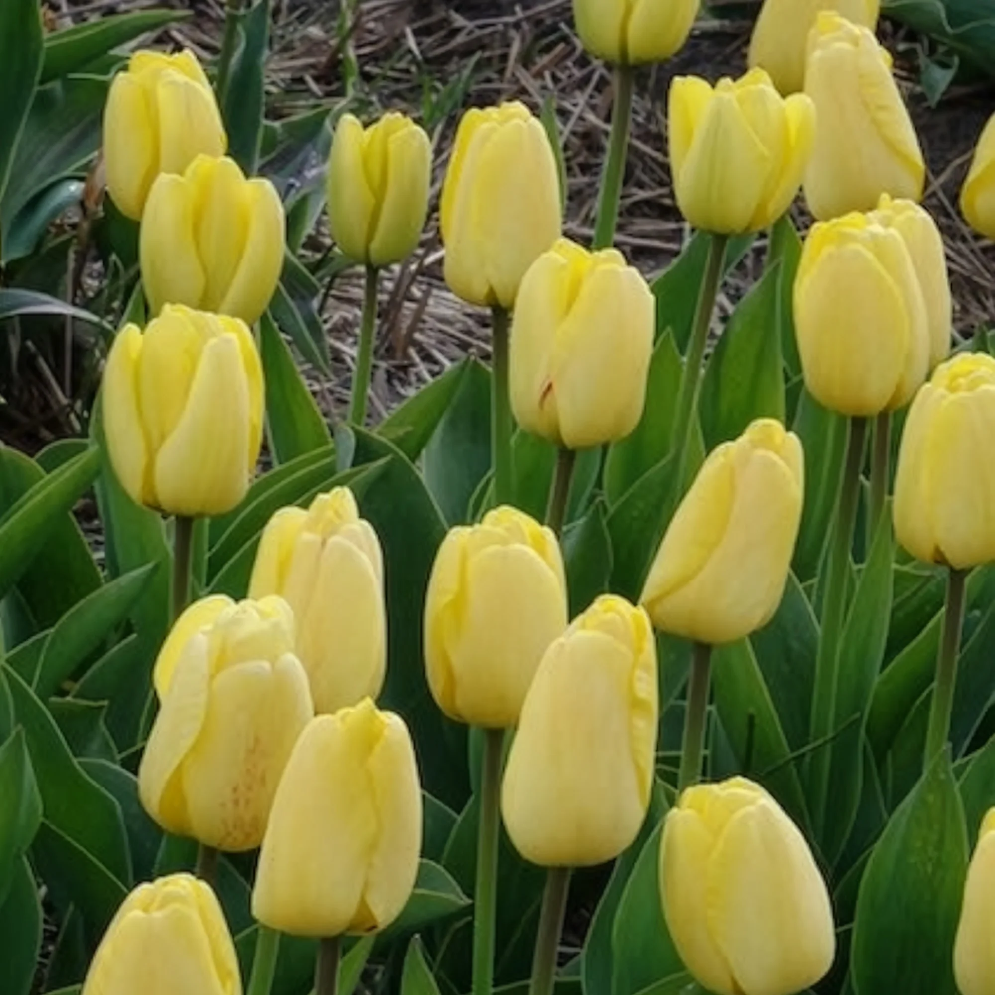 Vorschaubild 4