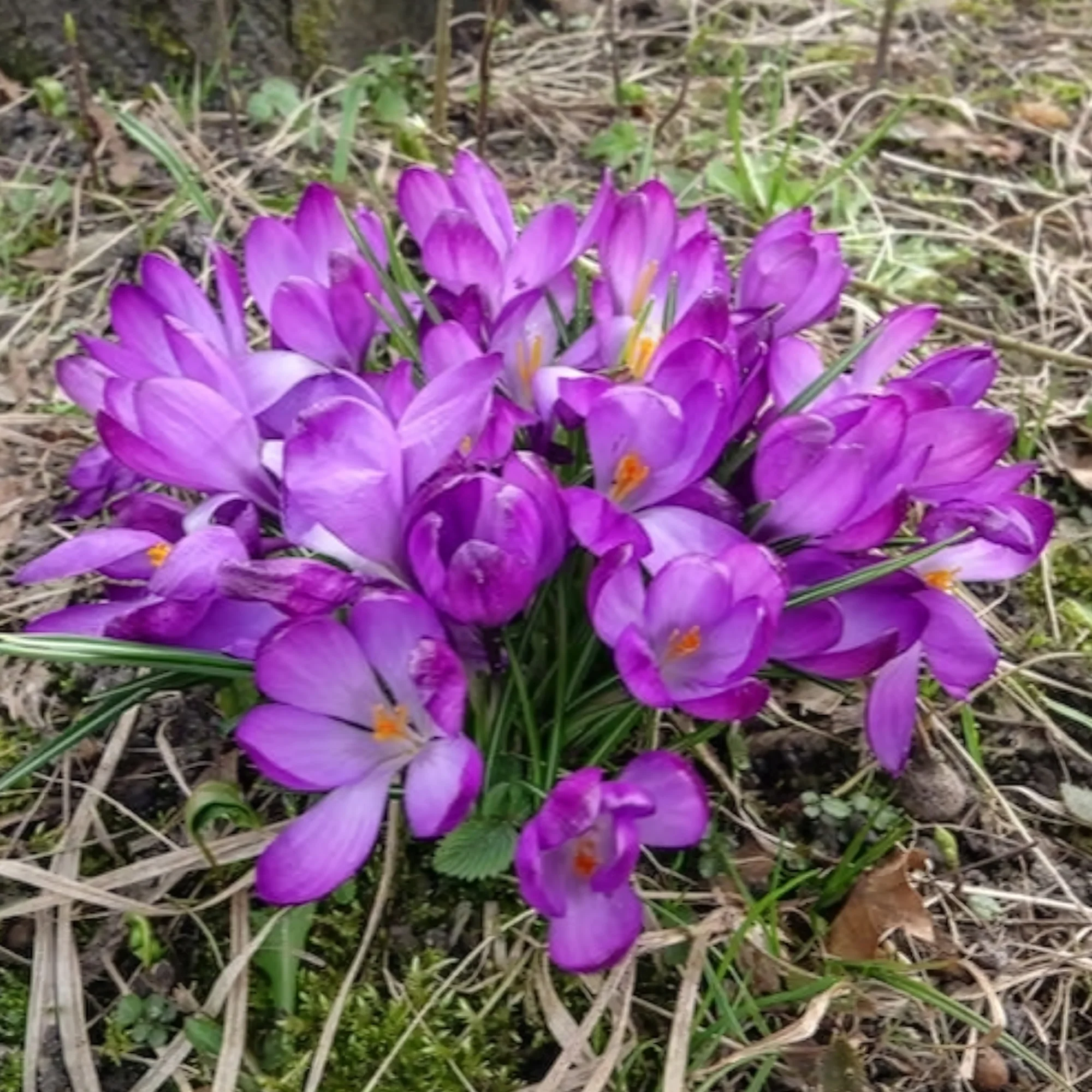 Vorschaubild 4