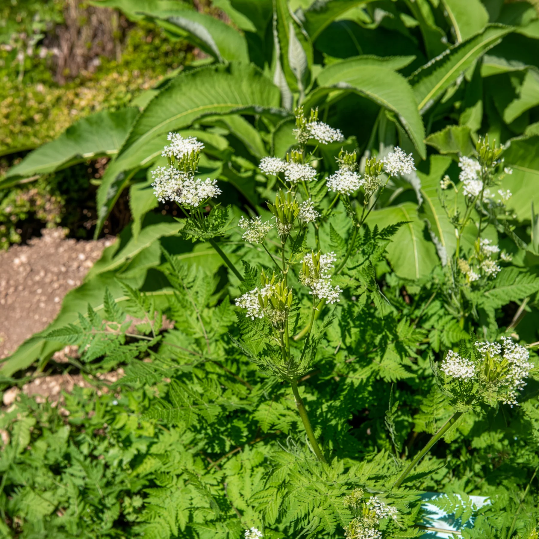 Vorschaubild 15