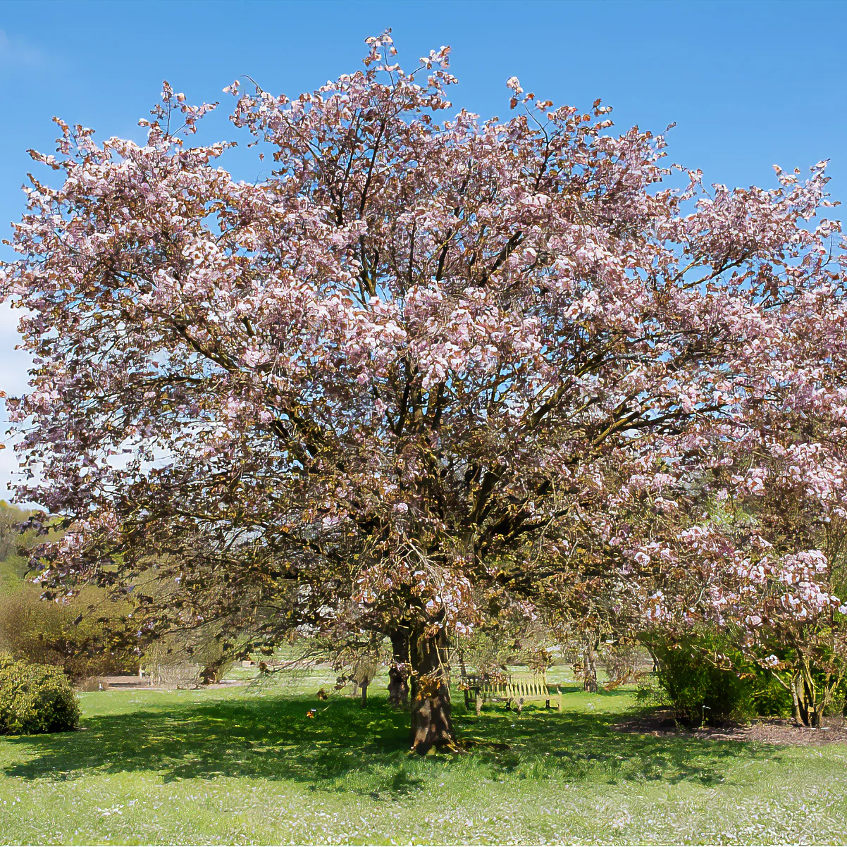 Vorschaubild 3