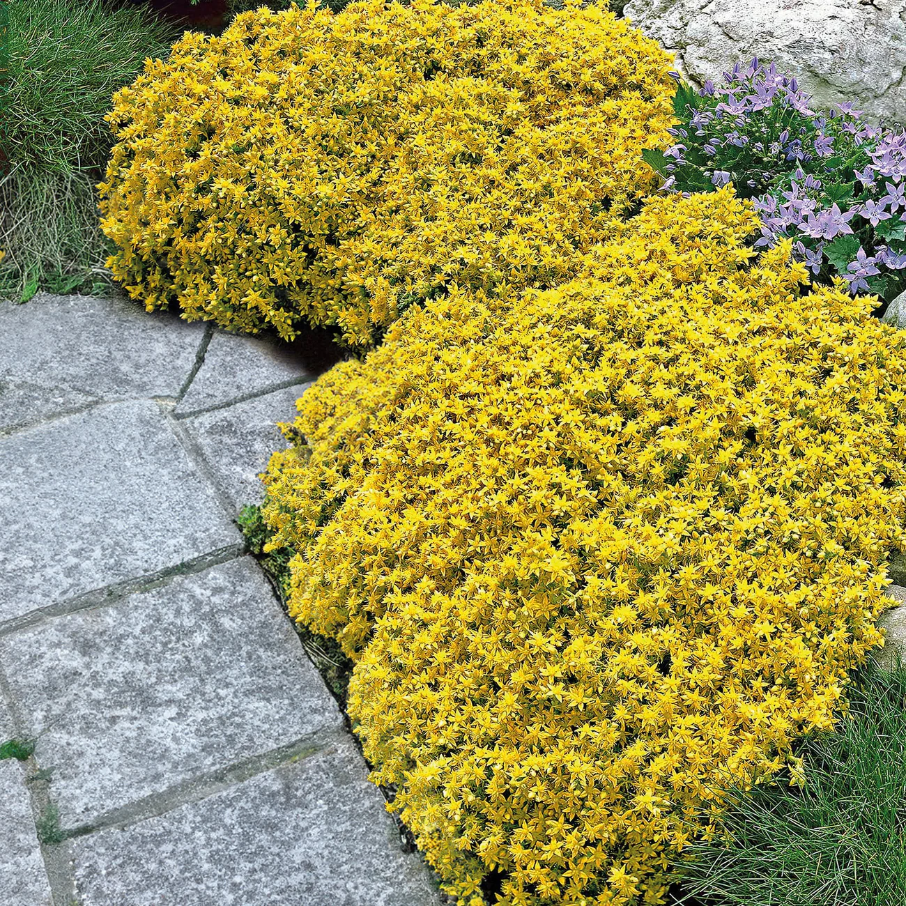 Vorschaubild 8